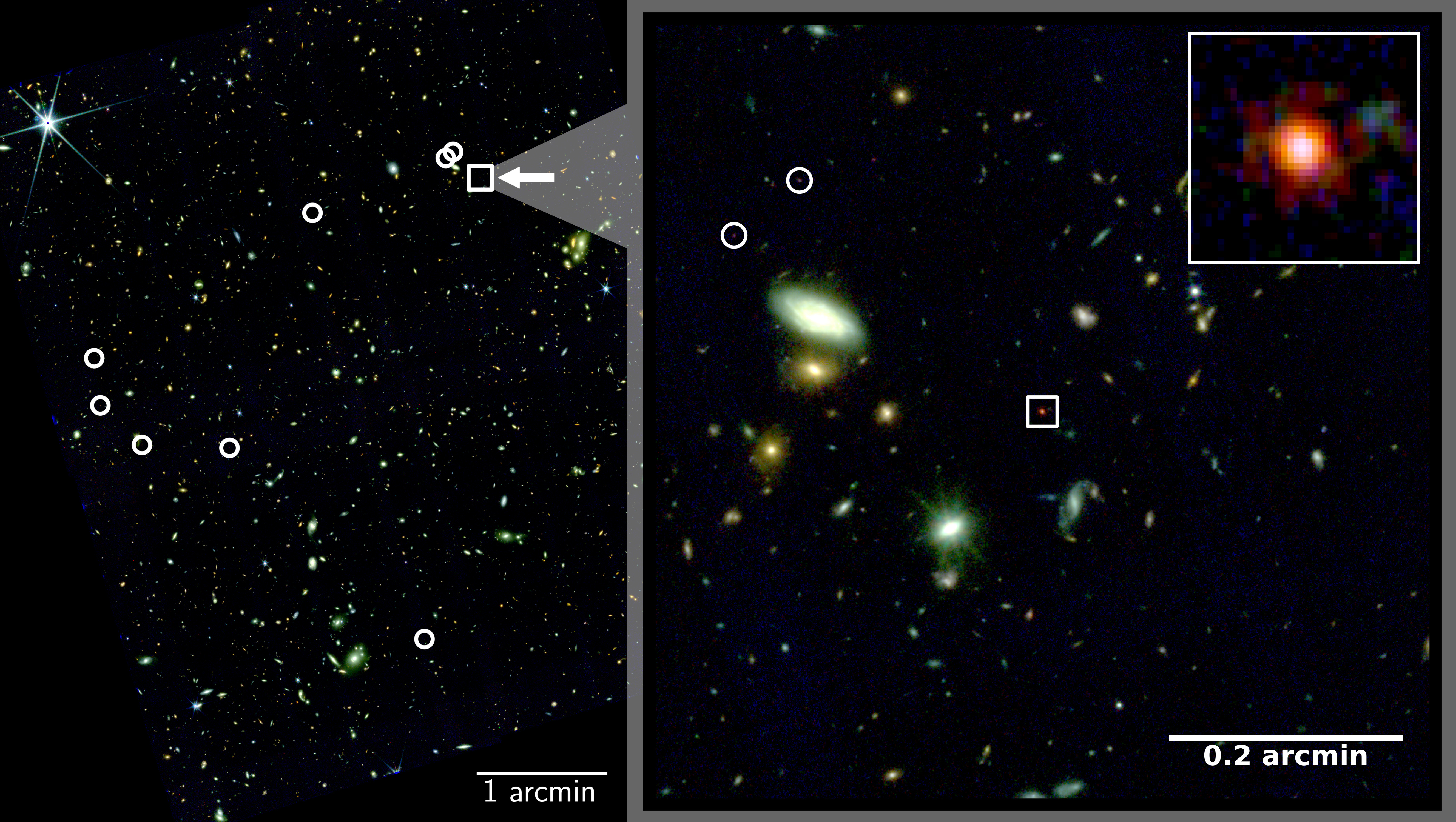 LRD Collage UHH/MIN/Heiko Fuchs